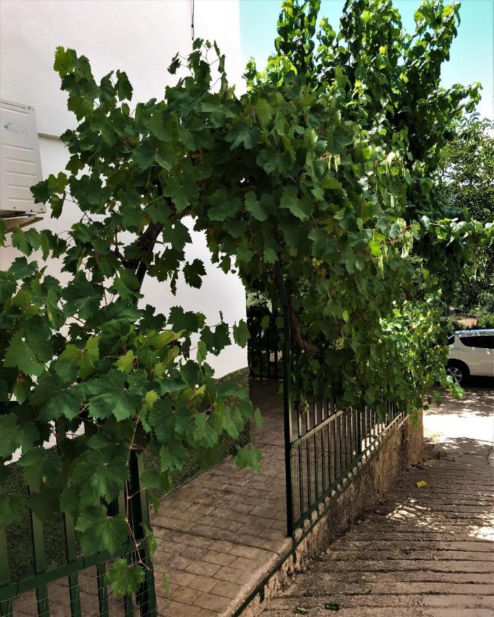 Alojamientos Loma De Mariangela Coto Rios Kültér fotó