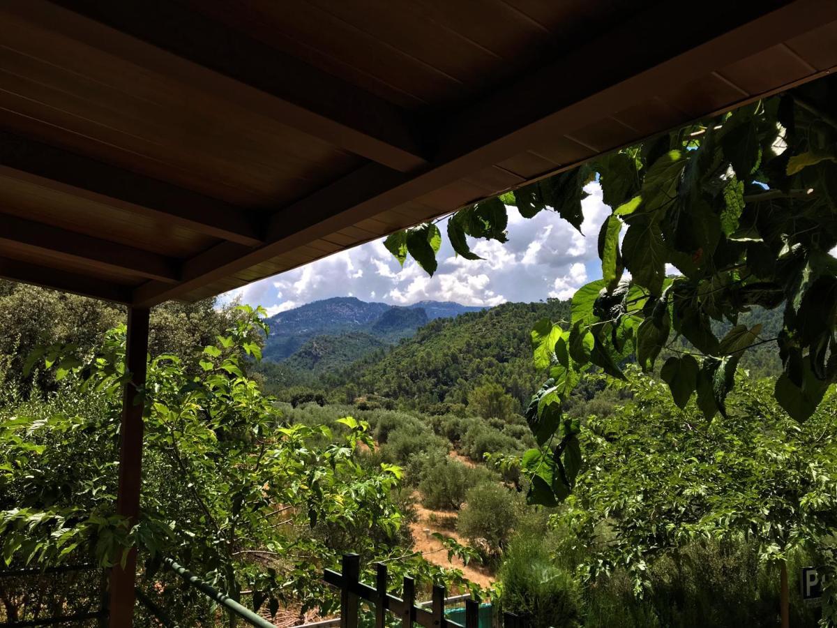 Alojamientos Loma De Mariangela Coto Rios Kültér fotó
